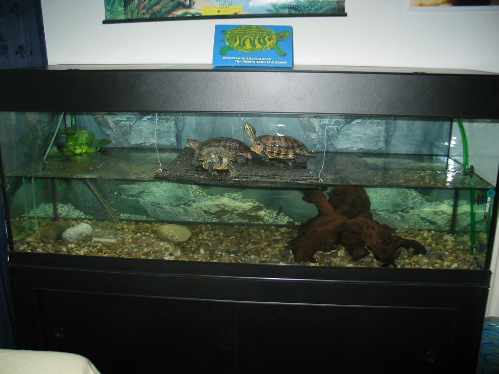 Kakadu strak Brood Schildpadden Verblijf 375 Liter | Arjan Saaltink